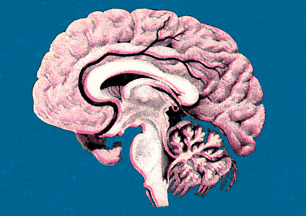 The mind-body conundrum